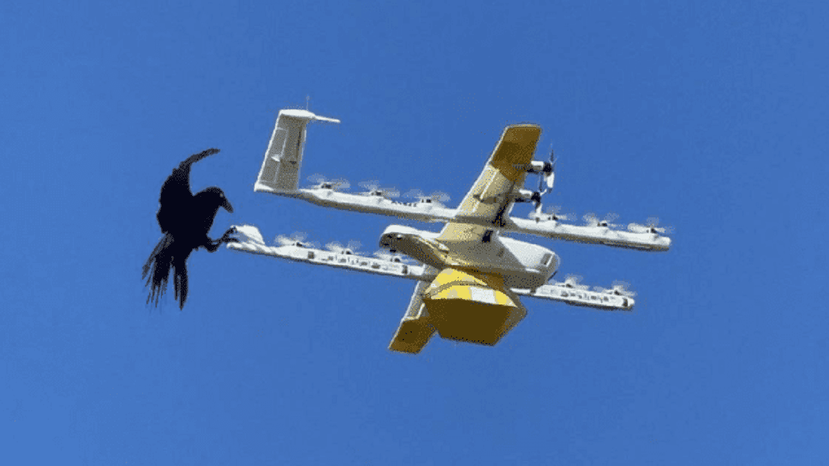 Drones Google