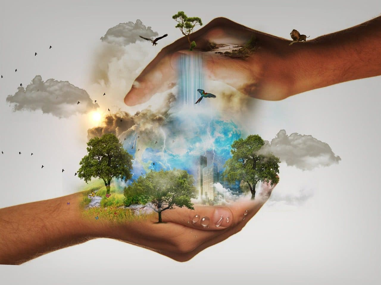 Cambio climático / Pixabay