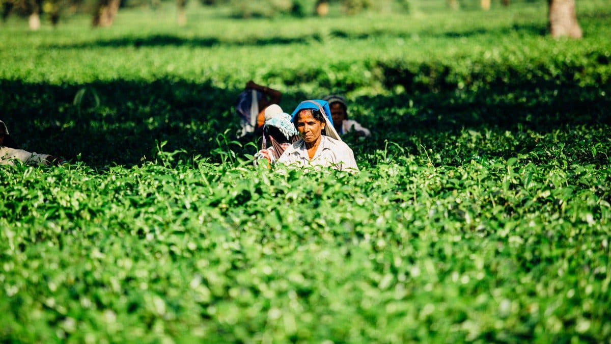 Mujeres rurales
