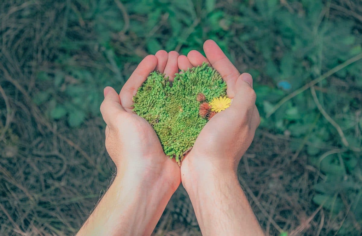 Medio ambiente