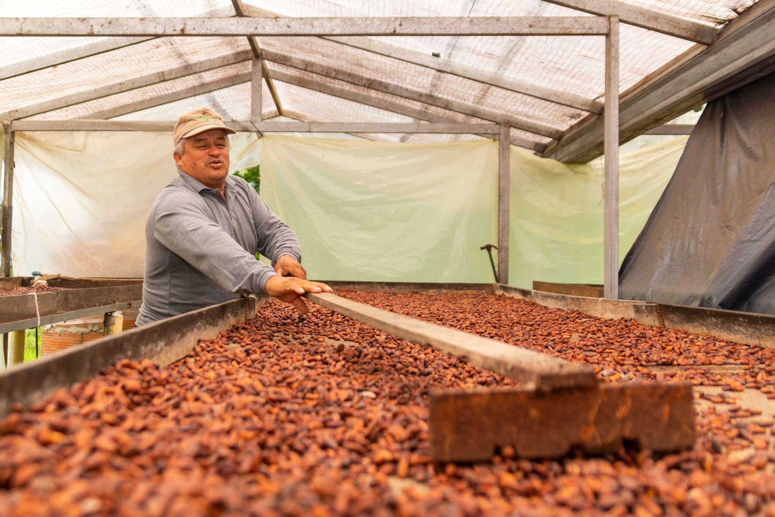 Campesinos del Meta exportaron a Alemania primer cargamento de cacao “especial” - Forbes Colombia