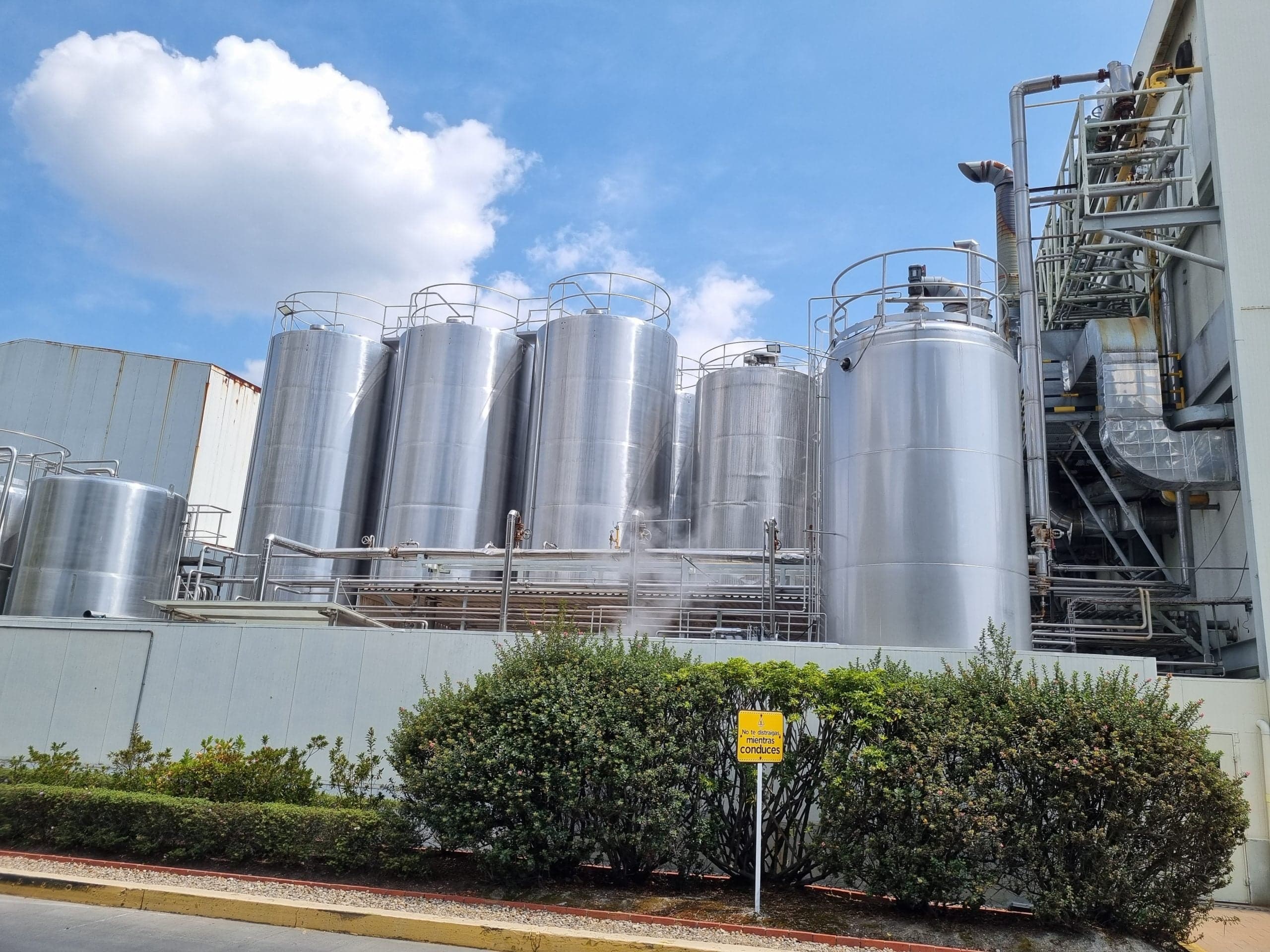 Sector lácteo busca atraer inversión extranjera para potenciar exportaciones mientras el dólar sigue barato