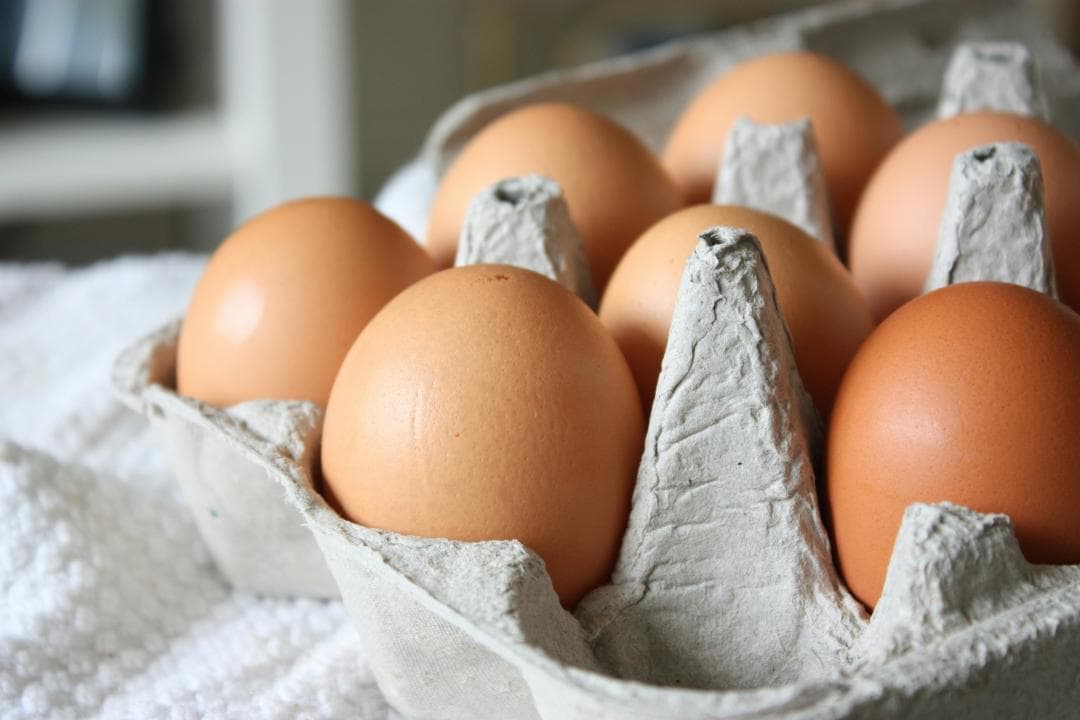 Bloqueos viales dejan desabastecimiento de huevos y pollo en varias regiones del país