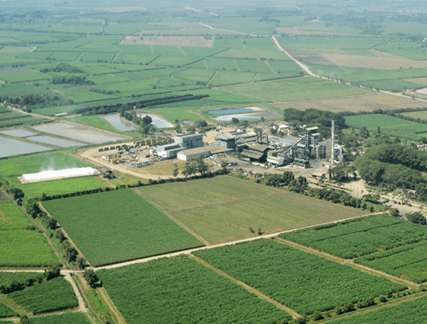 Liquidación de Ingenio La Cabaña profundiza la incertidumbre económica en el norte del Cauca