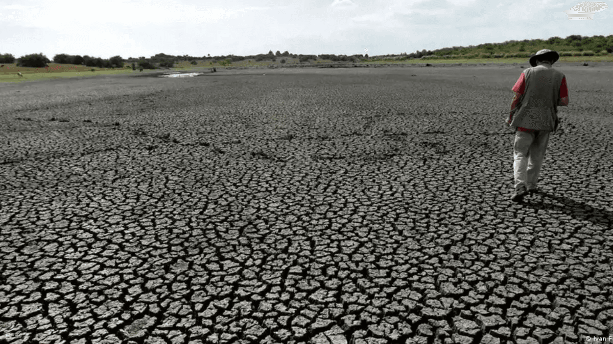 FAO y PMA instan a donar US $202 millones para proteger a 22 países de El Niño