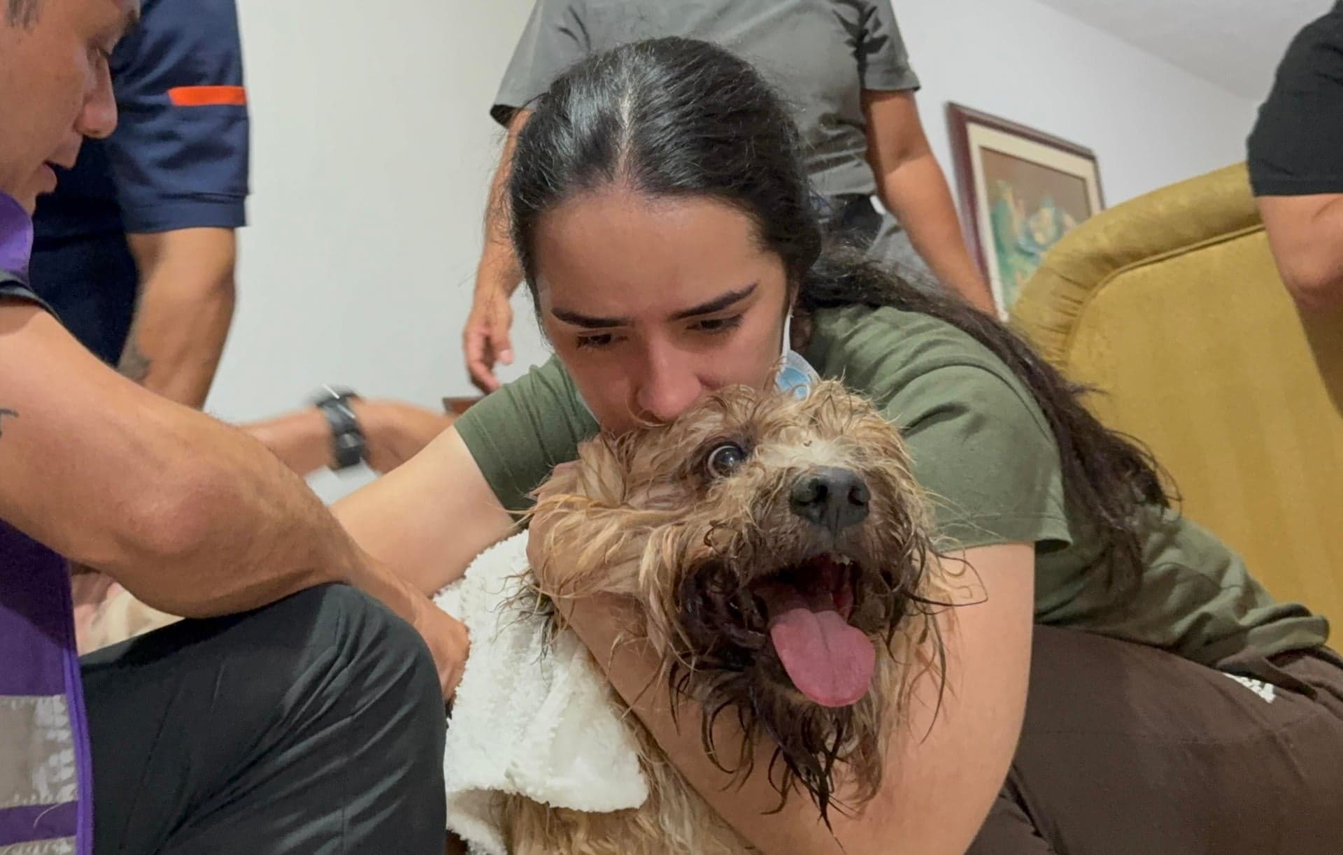Antonio, el perro rescatado tras 48 horas bajo los escombros del terremoto en Cali