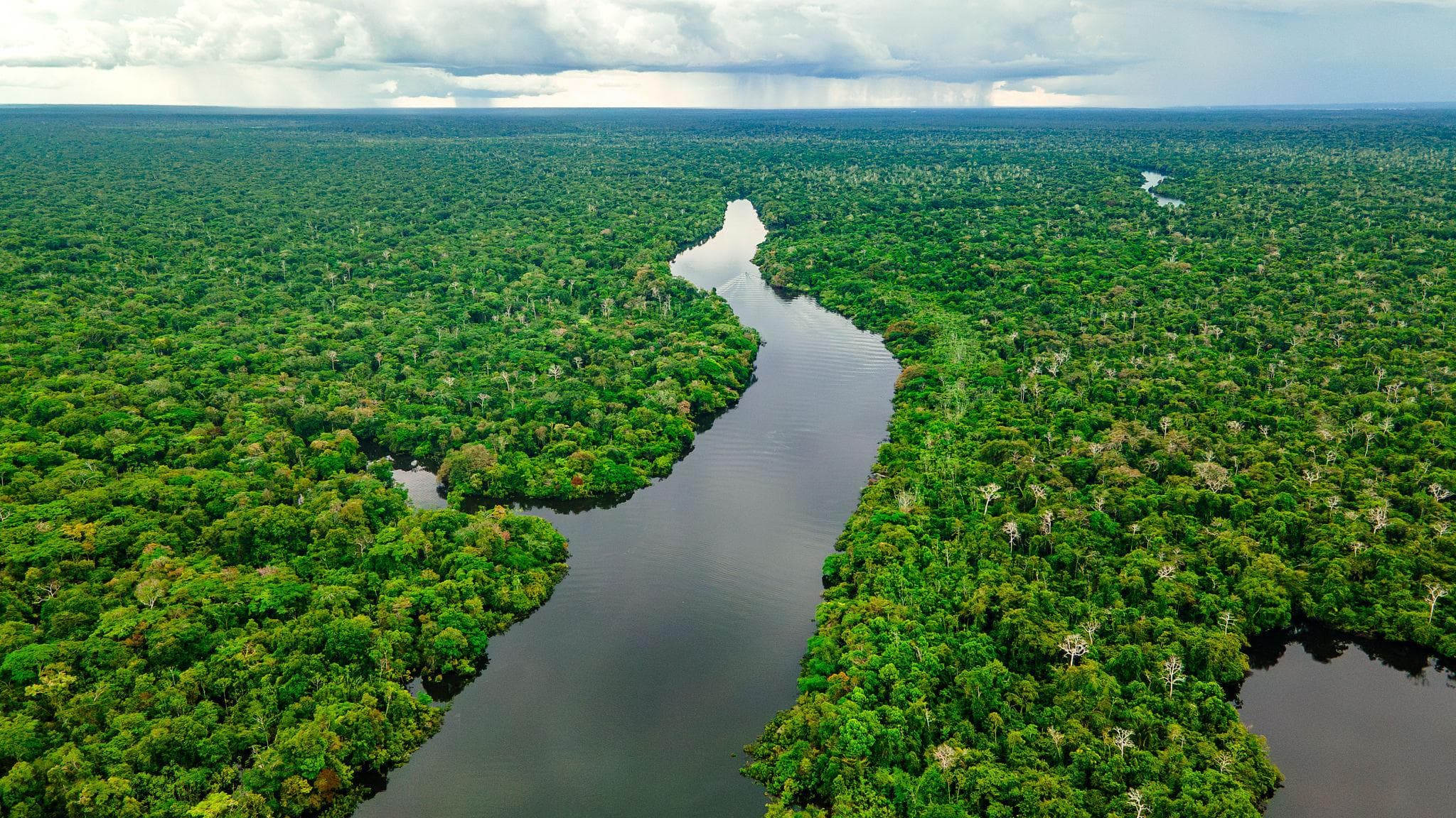 Colombia necesita casi $99 billones para sus metas de biodiversidad: recibirá €8 millones para atraer inversión