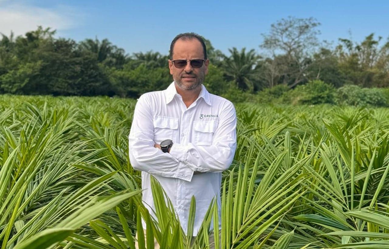 ¿Huella de carbono negativa? Así logró este objetivo una empresa palmera colombiana